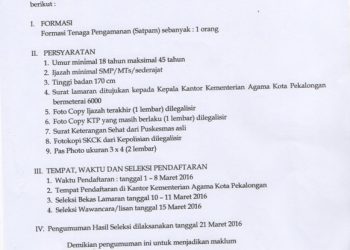 Formasi Tenaga Pengamanan (Satpam)