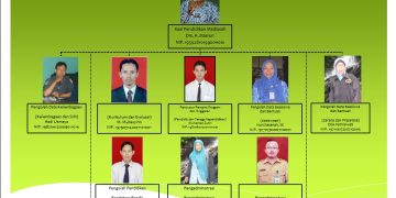 Struktur Organisasi Seksi Pendidikan Madrasah