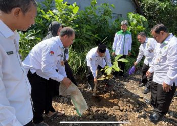Kantor Kementerian Agama Kota Pekalongan Berpartisipasi Aktif dalam Gerakan Penanaman Pohon Matoa dalam Rangka Hari Bumi ke-55
